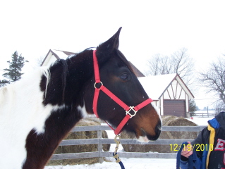 Java - Just Arrived at HCW - Dec 2010